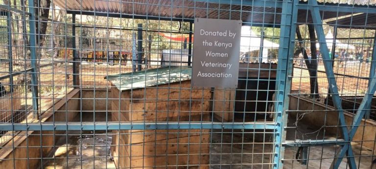 Adopt a Kenel