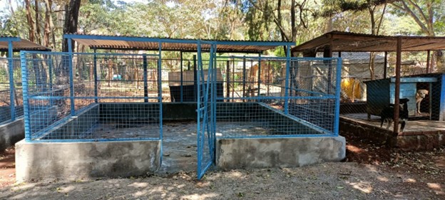 Kennel 1