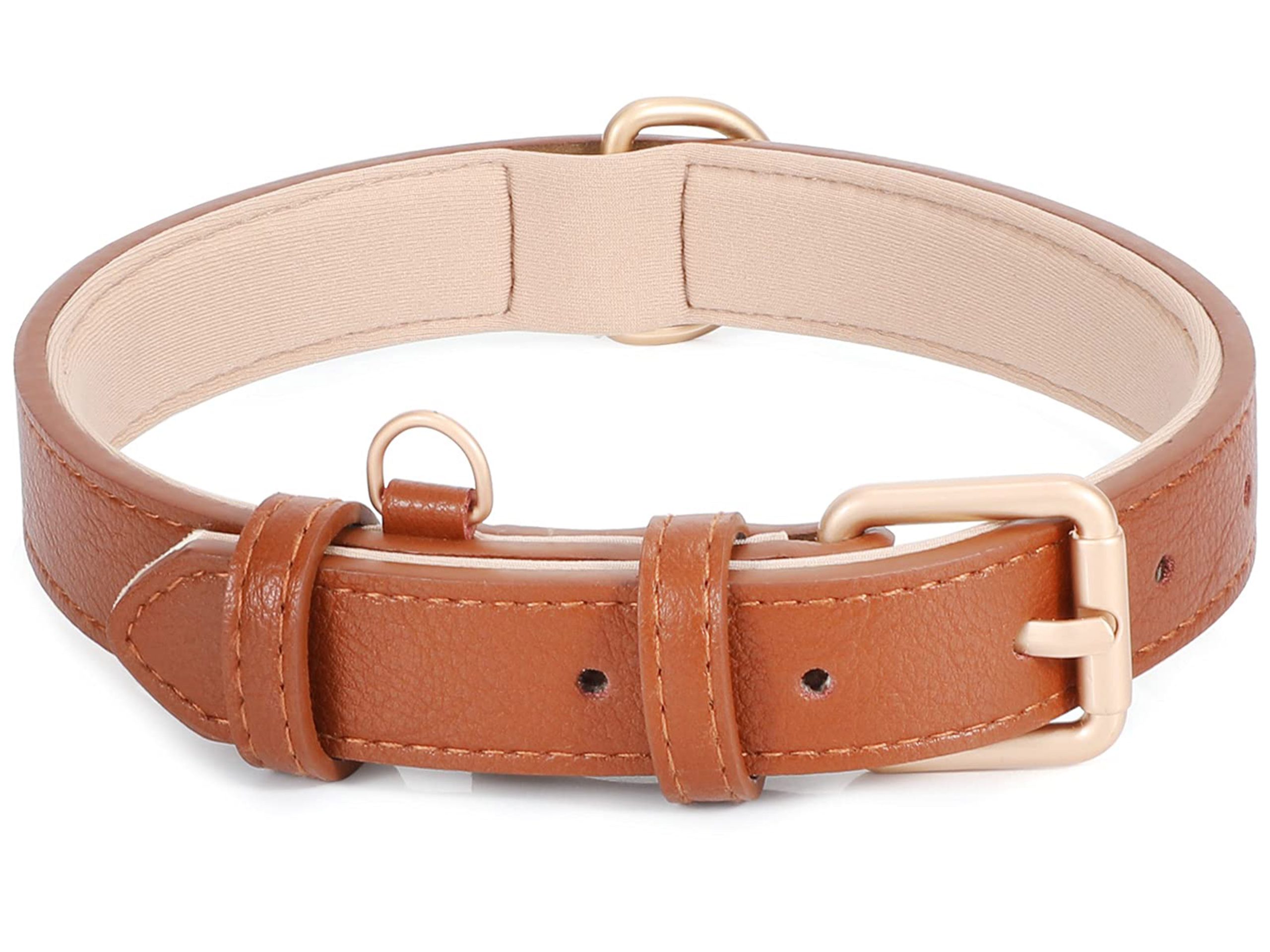 Dog Collar